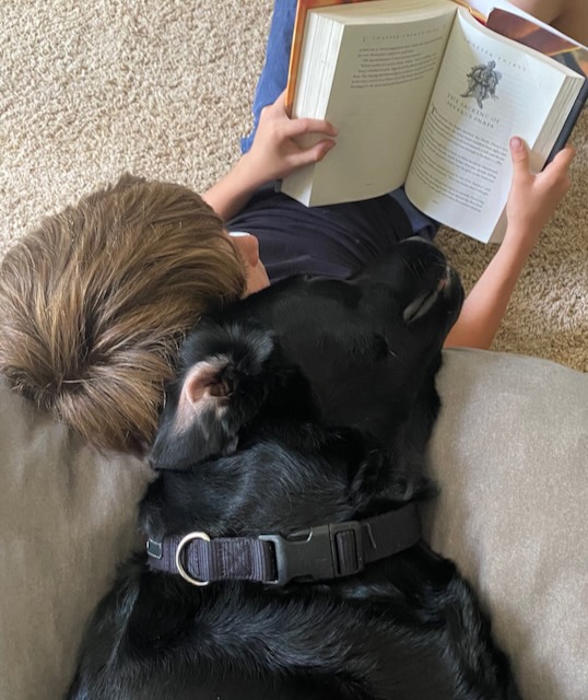 If a book isn't clean, does that make it dirty? The problem with defining the word, “clean” is that everyone has a different definition of what is moral these days.